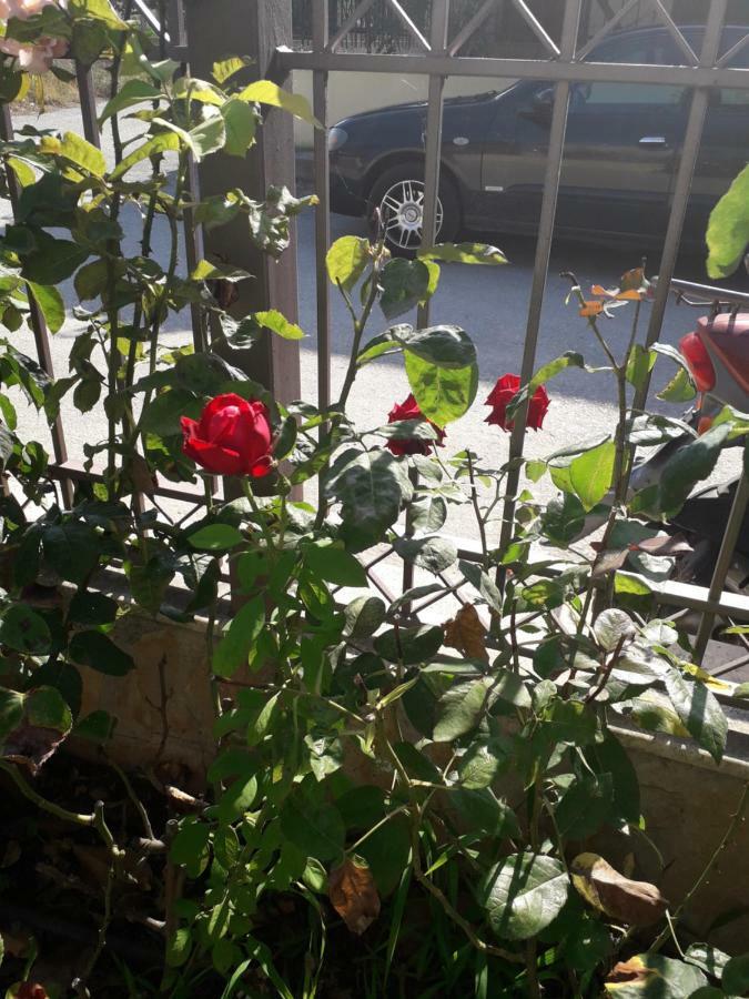 Roses Villa Skála Kallirákhis Eksteriør bilde